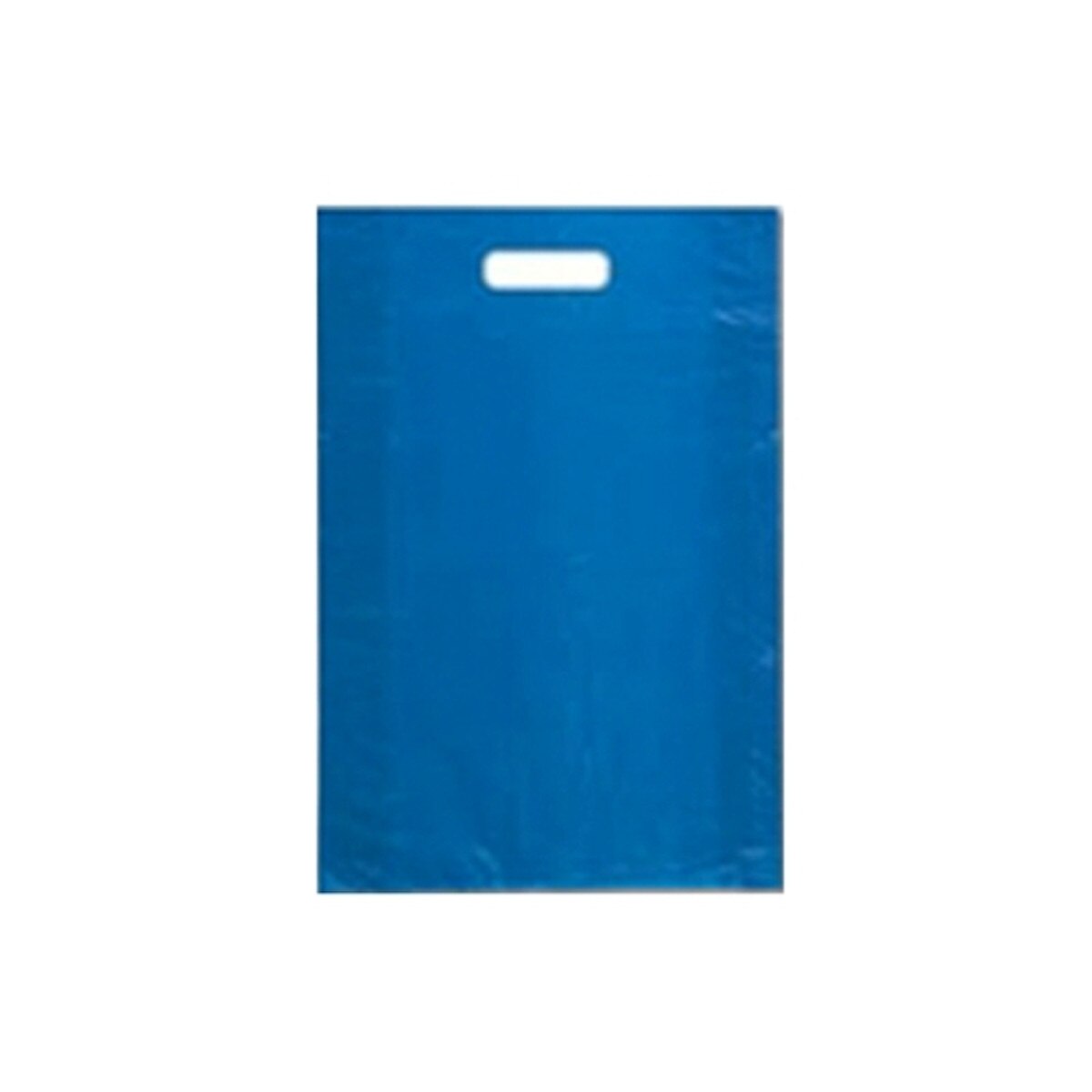H.D. Plastic Merchandise Bags - 12